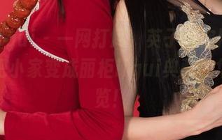 丽柜ligui - 一网打尽，英子教你用免费图包把小家变成丽柜ligui典藏的华丽展览！