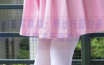 森萝财团新写真集：黑丝与蓝白条纹胖次恶搞版，等你来天南地北地分享！